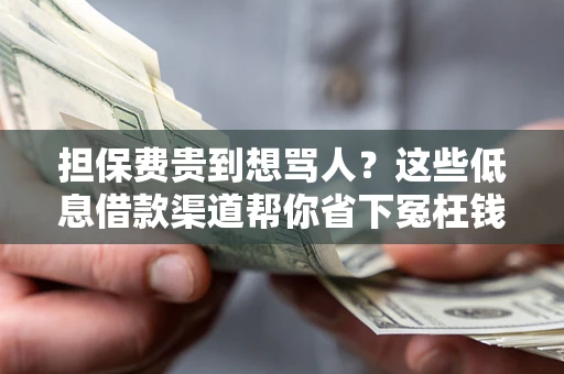 济南担保费贵到想骂人？这些低息借款渠道帮你省下冤枉钱